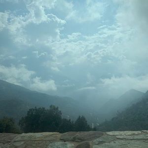 Meet your Posher, Suzy